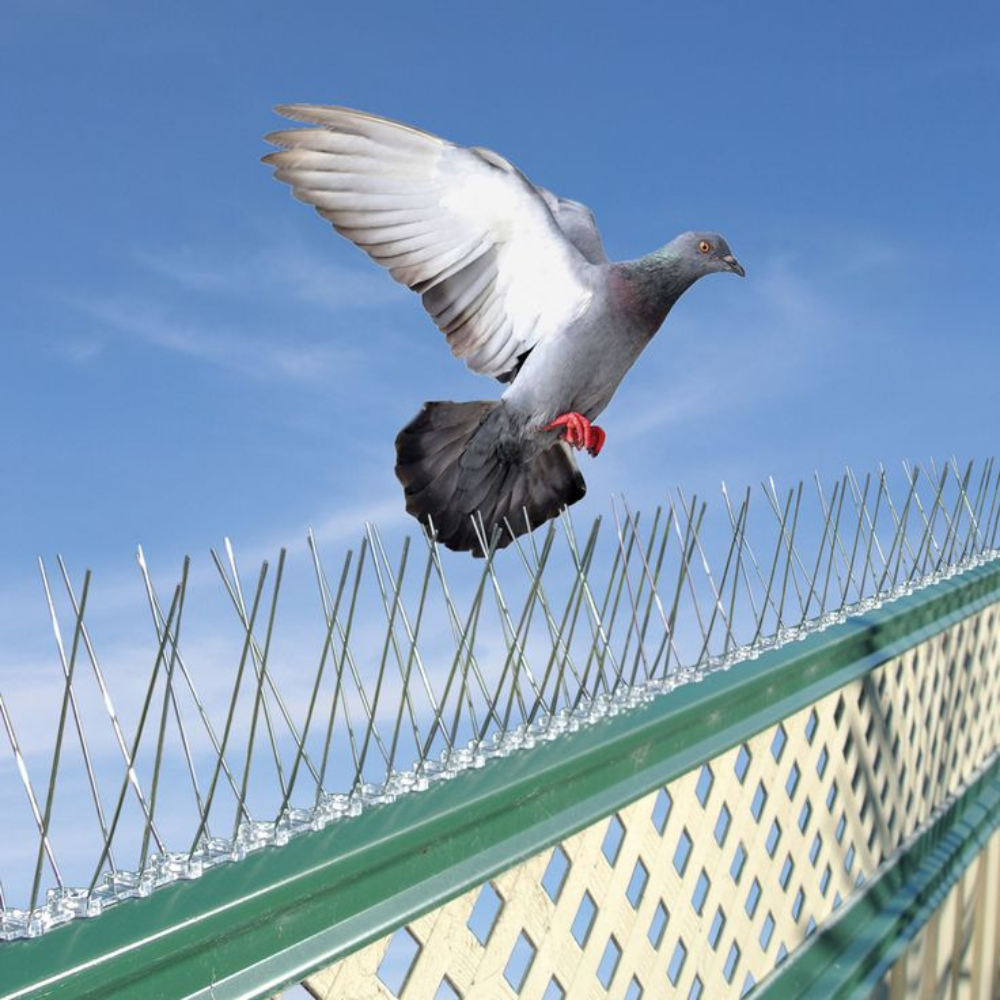 Bird spikes